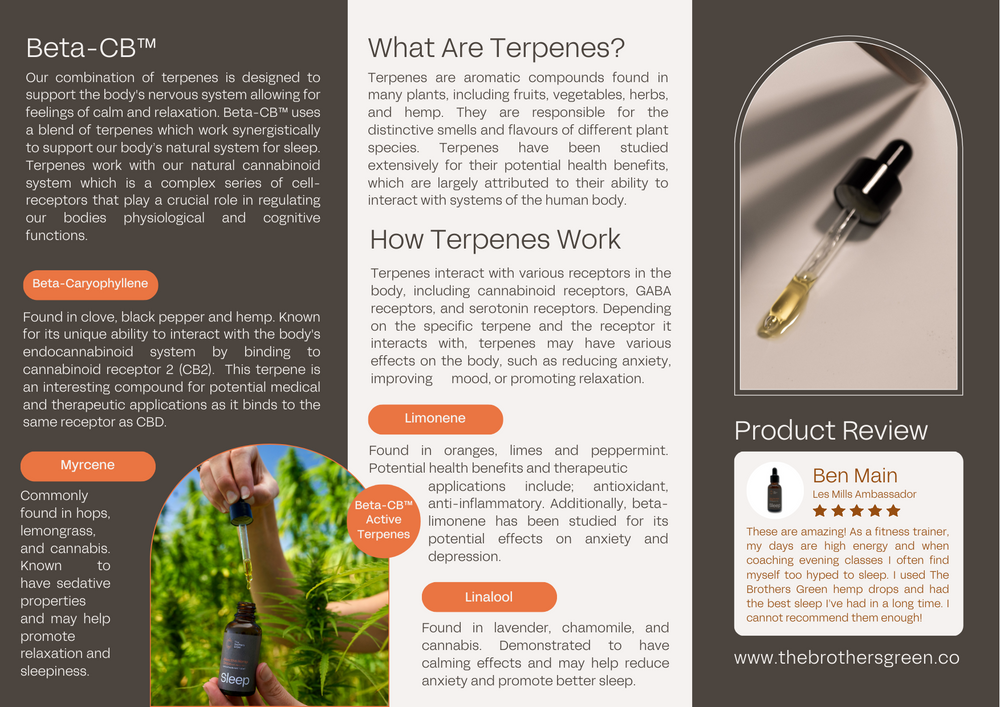 
                  
                    Bio-Active Terpene Sleep Aid - Drops
                  
                